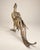 An elegant vintage rooster sculpture featuring intricate feather detailing, a proud upright stance, and dramatic sweeping...
