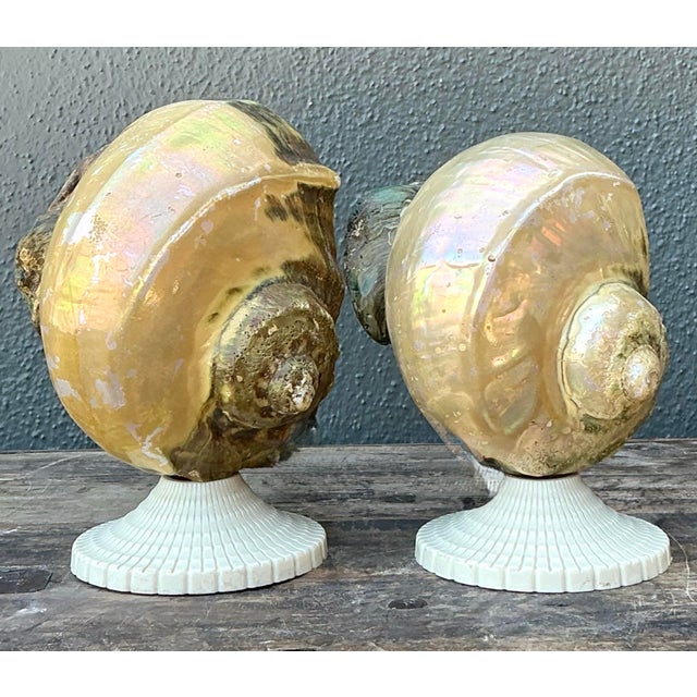 Vintage Deco Nautilus Shell Lamps - A Pair For Sale - Image 11 of 12