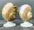 Vintage Deco Nautilus Shell Lamps - A Pair For Sale - Image 11 of 12