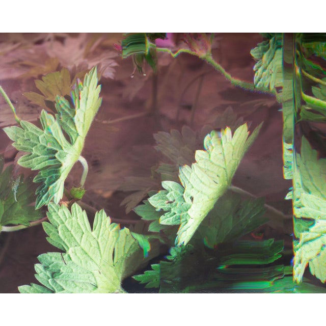 2010s 2011 “Wild Geranium - Geranium Maculatum” Archival C-Print Photograph by Bruce Checefsky For Sale - Image 5 of 8