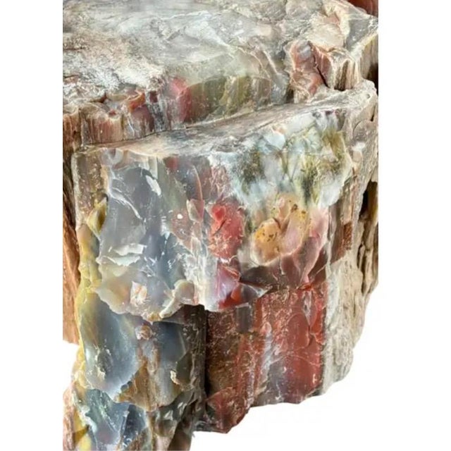 Natural Petrified Wood Specimen. #1 For Sale - Image 10 of 11