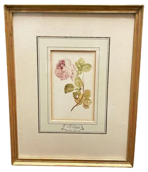 Maria Geertruida Barbiers Snabillé, Flowers, Watercolor, 1800s, Framed
