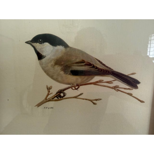 Antique bird print framed by Ethan Allen. Artist: Magnus von Wright (1927); double matted in linen and sage green colors...