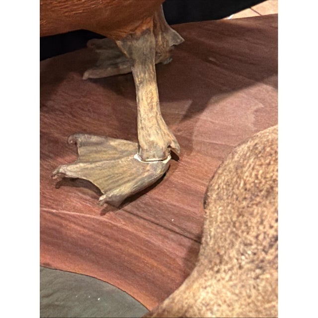 Vintage Hand-Carved Wood Duck Family Sculpture Folk Art – Handcrafted For Sale In Los Angeles - Image 6 of 13