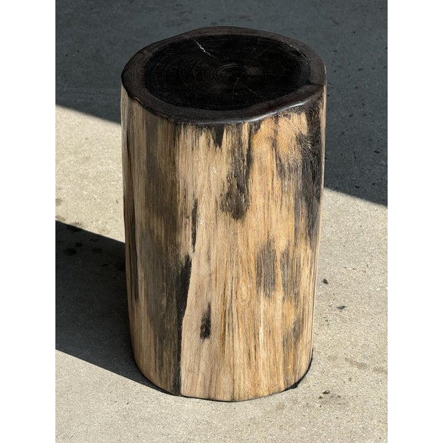 Petrified Wood Side Table with Black Heart For Sale - Image 13 of 18