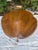 Queen Anne Late 20th Century Ethan Allen Heirloom Nutmeg Maple Trefoil Drop Leaf Table, Model #0871 For Sale - Image 3 of 11