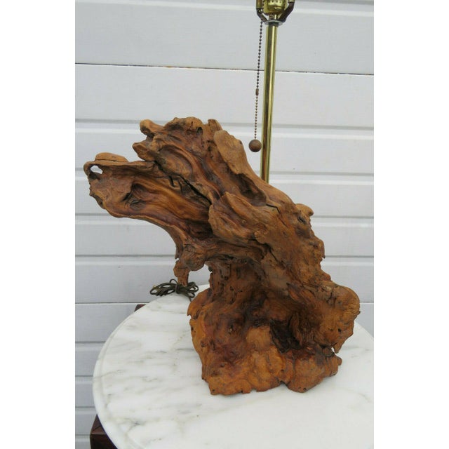 Mid Century Modern Natural Tree Trunk Driftwood Table Lamp Chairish