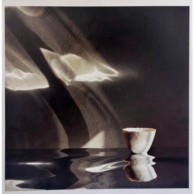 Peter C. Jones 1, Snipes Vessel, Ceramic Large Format Photo 24X20 Color Photograph Beach House, 2004 For Sale