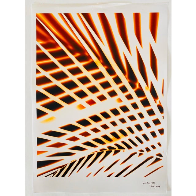 Jeffrey Rothstein, Flora Fauna Series Vintage Color Photograph Abstract Flower Fuji Crystal Photo, c.1998 For Sale - Image 4 of 5