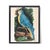 Antique Reproduction Naturalist Macaw Parrot (Blue) For Sale In Los Angeles - Image 6 of 6