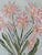 Modern Abstract Folk Art Floral Acrylic Painting, “Blooming In Tennessee,” Professional Stretched Canvas On Wood Frame,...