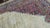 Antique Turkish Serab Carpet, 12' X 14' For Sale In Chicago - Image 6 of 9