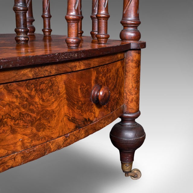 Antique Canterbury Stand, English, Burr Walnut, Newspaper, Magazine, Regency For Sale - Image 10 of 10