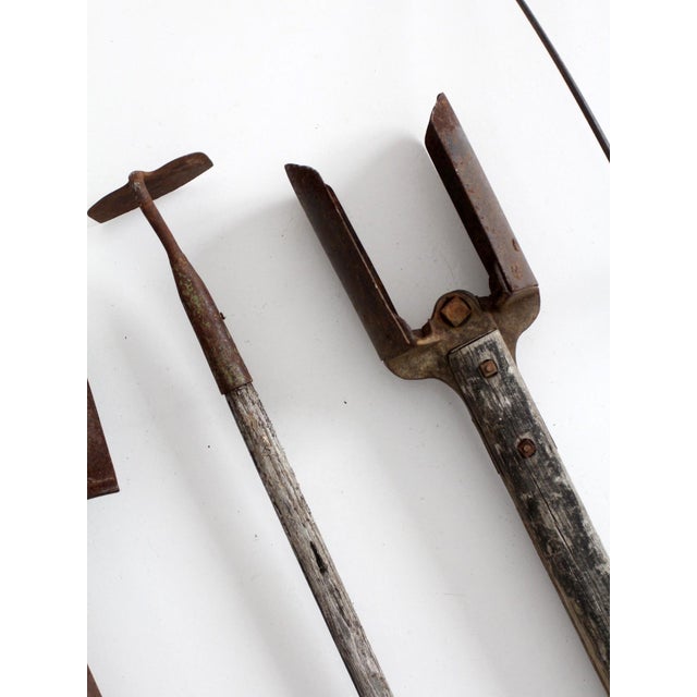 Antique Garden Tool Collection For Sale - Image 11 of 18