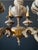 Antique Ceramic and Brass Chandelier, 1960s For Sale - Image 10 of 15