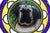 Art Deco Stained Glass Roundel Depicting with English Mastiff Dog, 1890s For Sale - Image 10 of 11