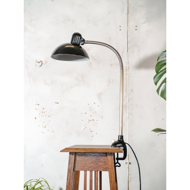 Antique Bauhaus Gooseneck 6740 Clamp Lamp with Super Lampshade by Christian Dell from Kaiser Idell, 1940s For Sale - Image 10 of 14
