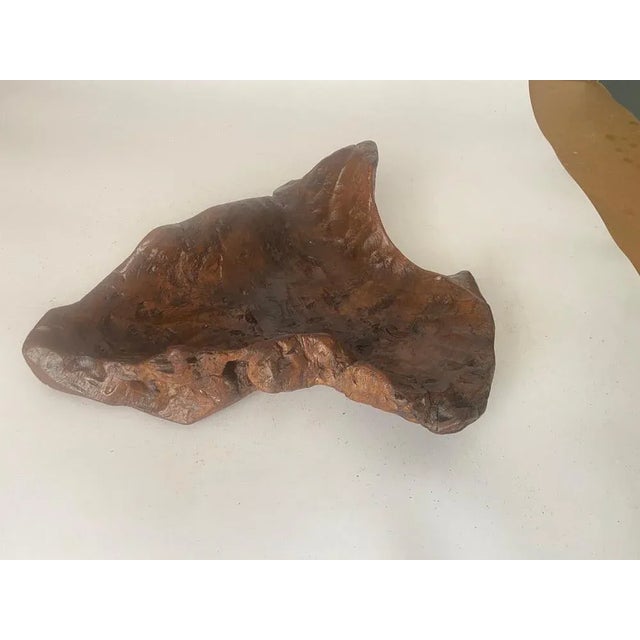 Brutalist Root Wood Vide Poche or Bowl, France, 1960s For Sale - Image 10 of 12
