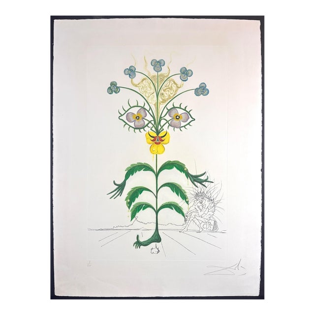 1960s Dali Flora Dalinae Viola Cogitans/Self Portrait Pansy H/S Etching Surreal Rare For Sale
