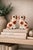 English Antique Staffordshire King Charles Dogs / Spaniels, a Pair For Sale - Image 3 of 6