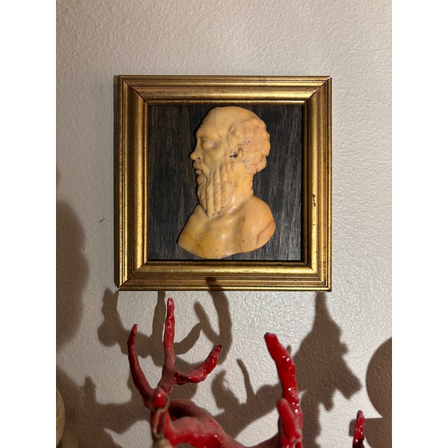 Early 19th Century Italian Grand Tour Siena Marble Relief Portrait of the Ancient Greek Philosopher Socrates For Sale - Image 9 of 12