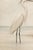 Paper White Egret Coastal Study, Minimalist Bird Wall Art Print, 24″ × 36″ For Sale - Image 7 of 9