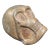 Vintage Carved Solid Wood Skull Sculpture For Sale