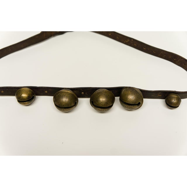 Late 19th Century Five Brass Sleigh Bells on Leather Belt For Sale - Image 4 of 4