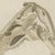 Bertuch, Crocodile with a Study of Its Skull, 1809, Print For Sale - Image 4 of 12