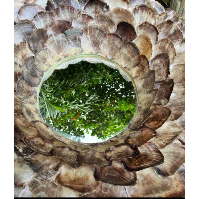 Coffee Monumental Coastal Oyster Shell Round Mirror For Sale - Image 8 of 9
