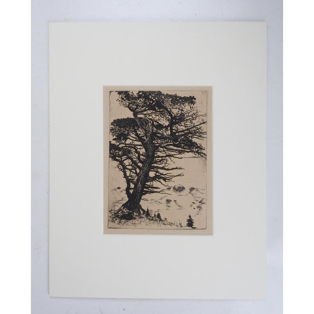 Rustic Vintage Mountain Juniper Tree Landscape Etching For Sale - Image 3 of 3