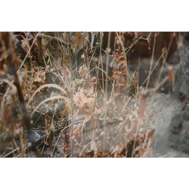 Postmodern JC Martinez Jimenez, Modern Mexican Photography Wooden Frame For Sale - Image 3 of 8