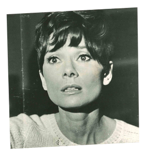 Portrait of Audrey Hepburn, Photograph, 1980s