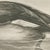 After Lilian Medland, Merganser and Young, 1909, Print For Sale - Image 4 of 9