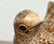 Mid-Century Modern Danish Studio Pottery Bird Figurines by Poul Hauch Carlsen, 1960s, Set of 2 For Sale - Image 13 of 18