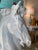 Modern Vintage Plaster White Lacquered Modern Large Horse Head Statue For Sale - Image 3 of 12