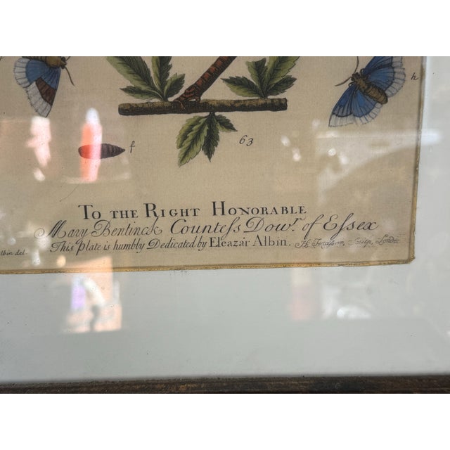 English Trowbridge Victorian Style Gilt Ebonized Framed Botanicals - S/2 For Sale - Image 4 of 7