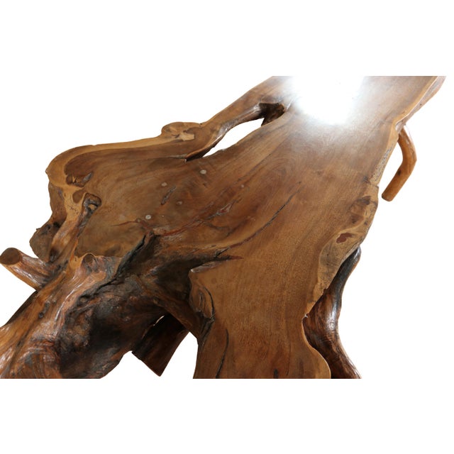 Large Sculptural Rootwood Coffee Table, 1970s For Sale - Image 15 of 16