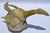 1950s Abstract Italian Ceramic Pottery Wood Bird Sculpture Mixed Media Handmade For Sale - Image 12 of 17