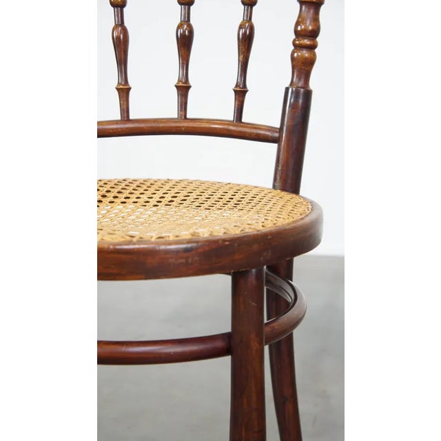Dining Chair by Michael Thonet For Sale - Image 9 of 12