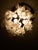 Murano, Venini & Co. 1970s Mid-Century Modern Venini Italian Murano Glass "Calla Lily" Chandelier in Frosted White For Sale - Image 4 of 7