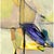 Vintage Abstract Expressionist Oil Painting on Canvas For Sale - Image 10 of 12