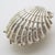 Metal Vintage Italian Handmade Silver Shell Shaped Box, 1970s For Sale - Image 7 of 14
