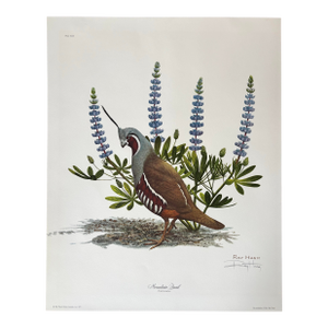 1975 Ray Harm Mountain Quail Lithograph, Signed