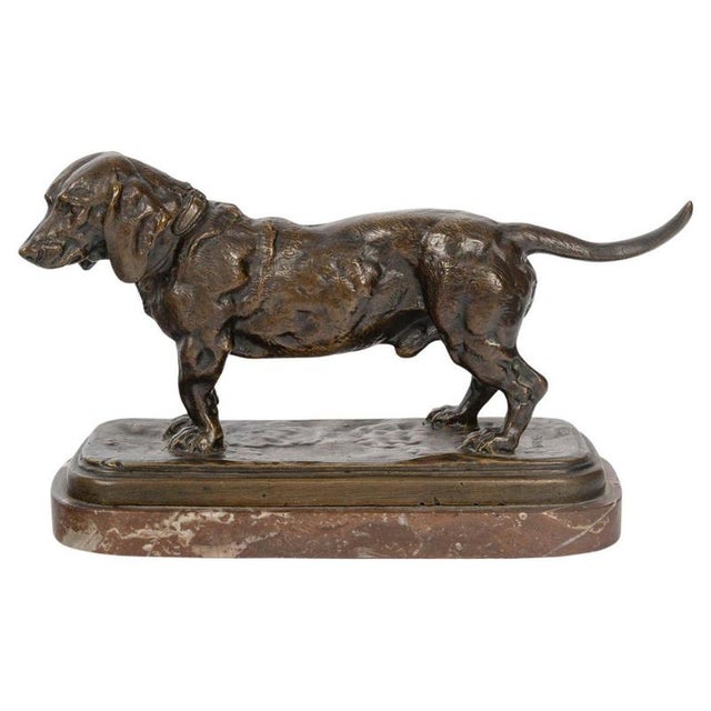 Sculpture of Basset Hound in Patinated Bronze by Antoine-Louis Barye For Sale - Image 10 of 10