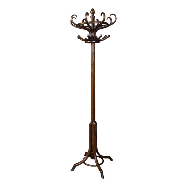 Early 20th Century Parrot Coat Rack in Beechwood, 1890s For Sale