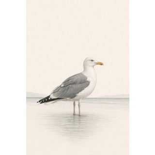 Coastal Seagull Study, Neutral Bird Wall Art Print, 24″ × 36″ For Sale