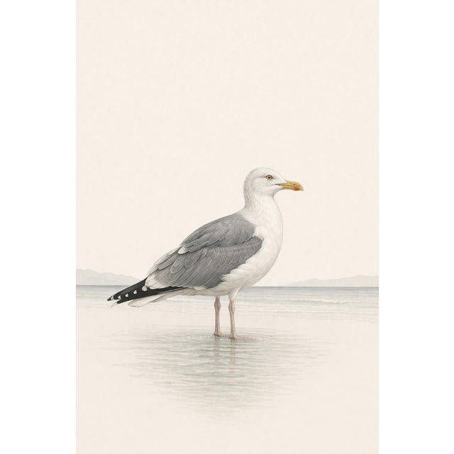 Coastal Seagull Study, Neutral Bird Wall Art Print, 24″ × 36″ Reproduction For Sale