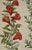 Sculpture Materials Flowering Pomegranate & Rock Rose: A 17th C. Besler Hand-Colored Engraving, 1640 For Sale - Image 7 of 9