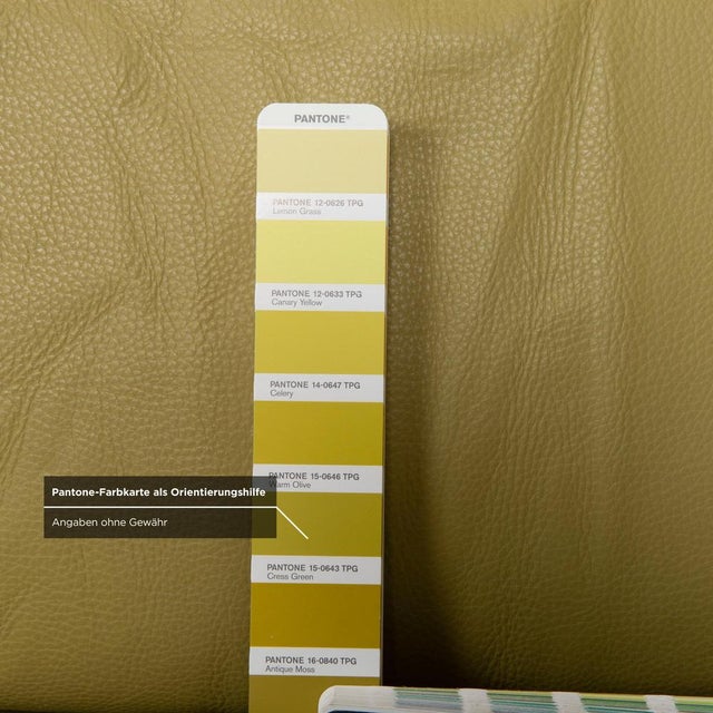 Leather Brand Face Corner Sofa in Green with Electric Function from Ewald Schillig For Sale - Image 13 of 18